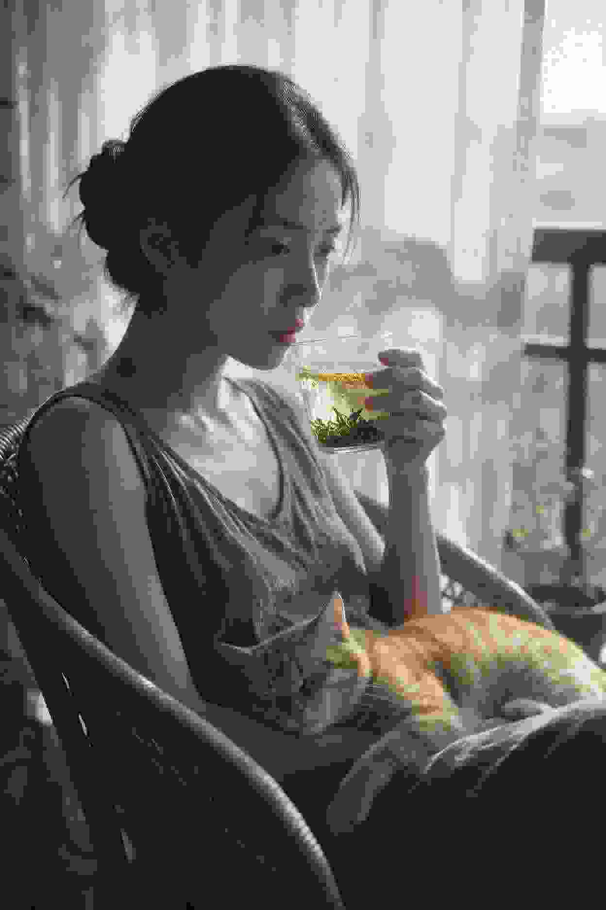 热播作品